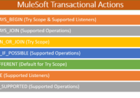 MuleSoft Transaction Management : Transactional Actions